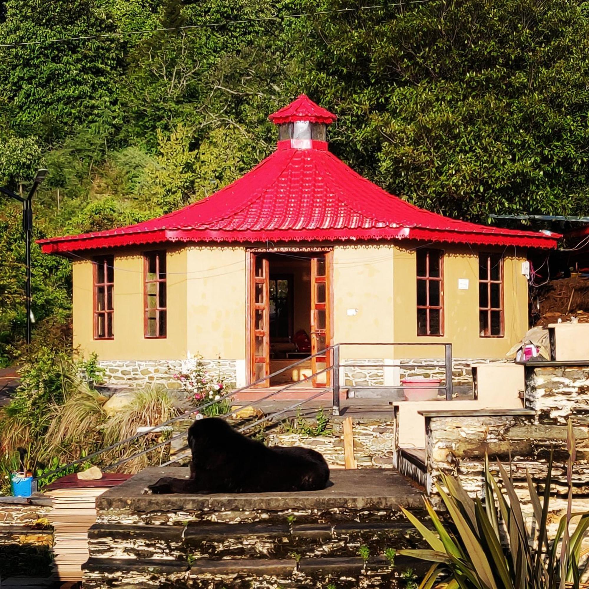 Dunagiri Retreat Dwarahat Dış mekan fotoğraf