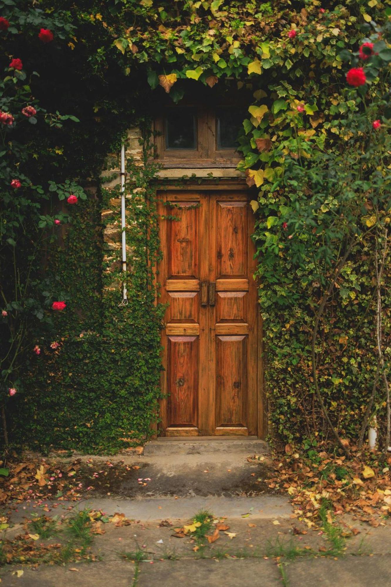 Dunagiri Retreat Dwarahat Dış mekan fotoğraf